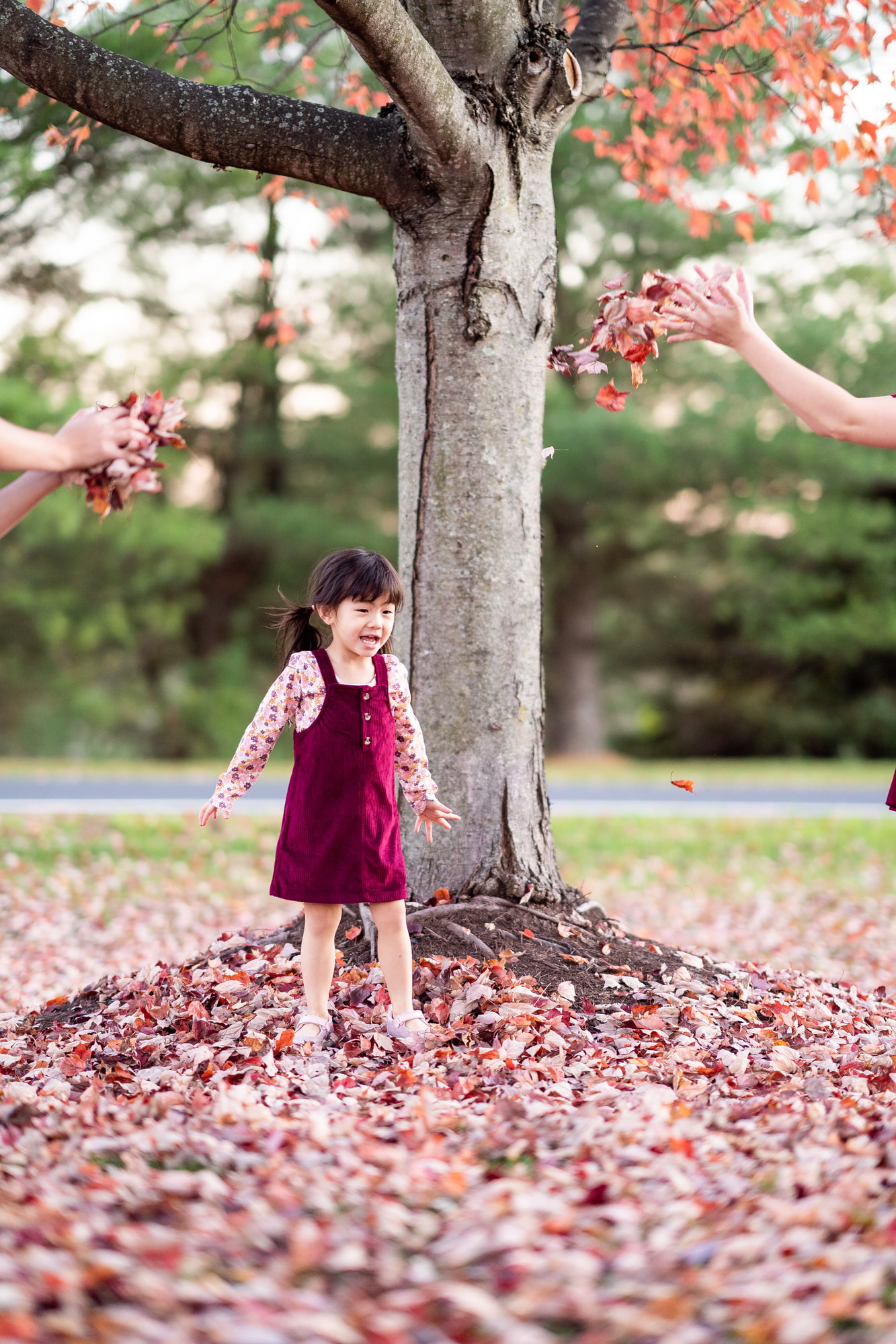 Fall Leaves Family Photos