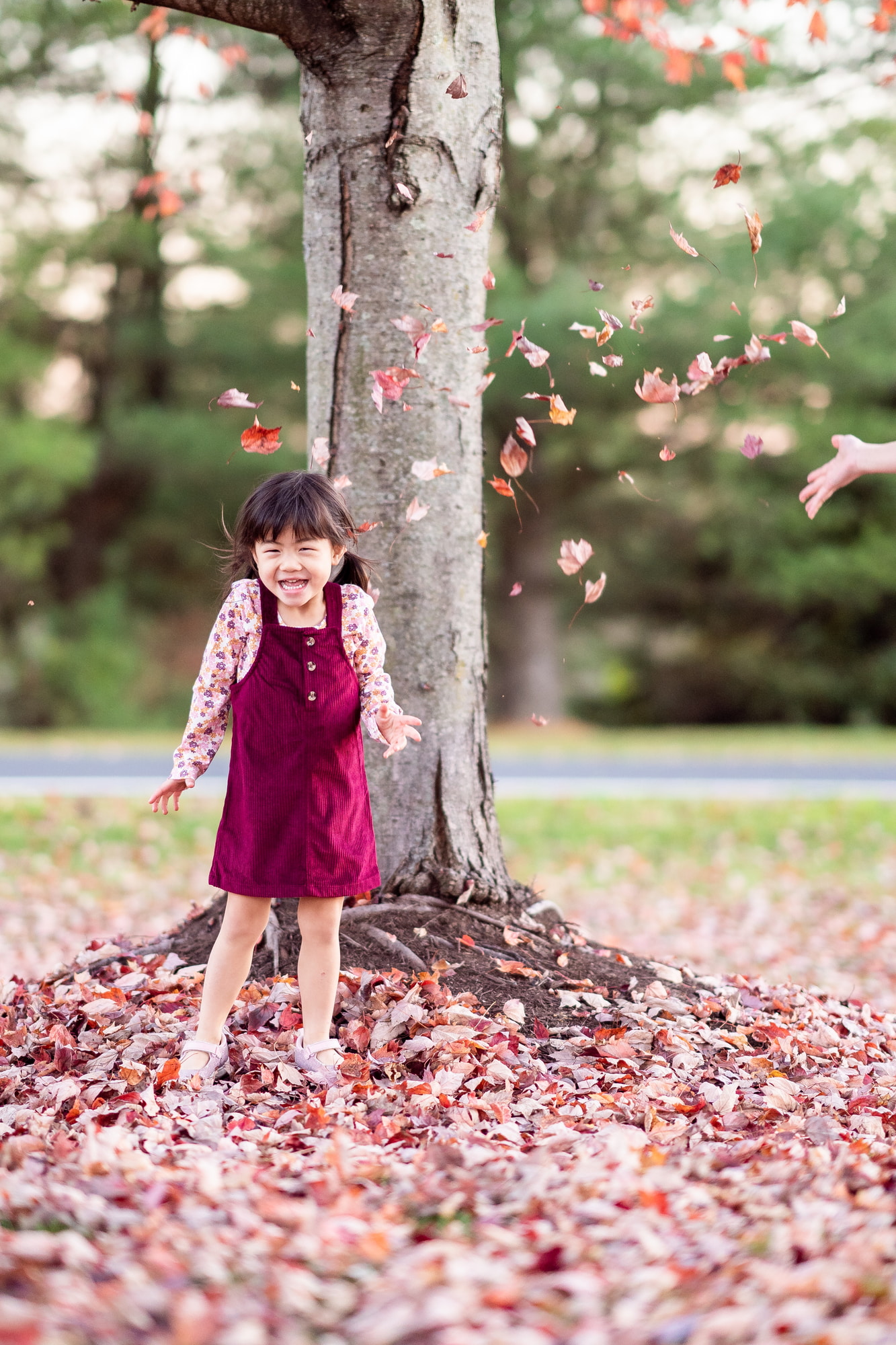 Fall Leaves Family Photos