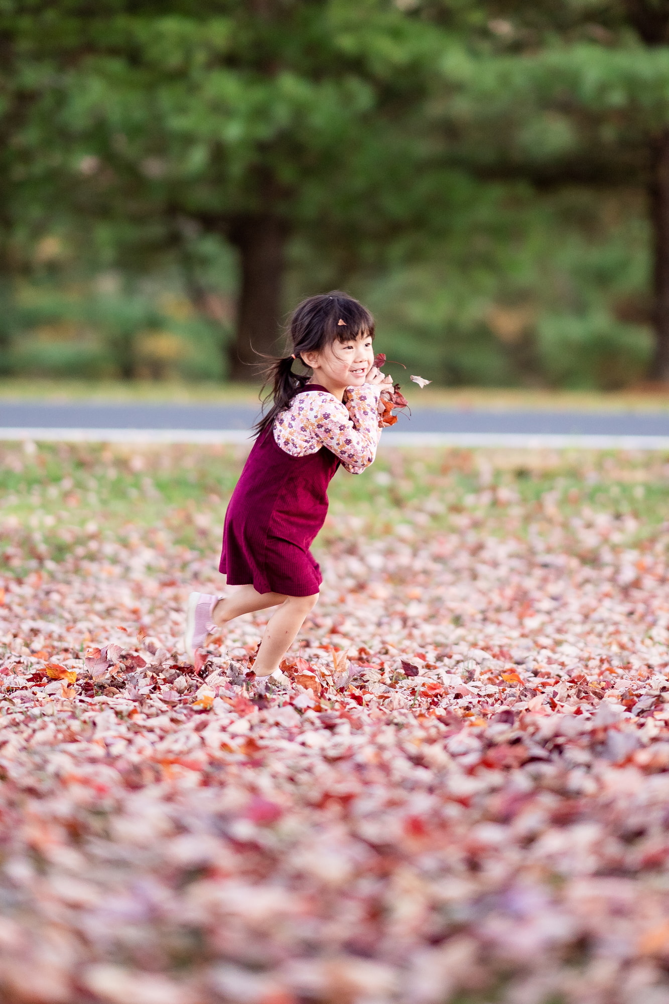Fall Leaves Family Photos