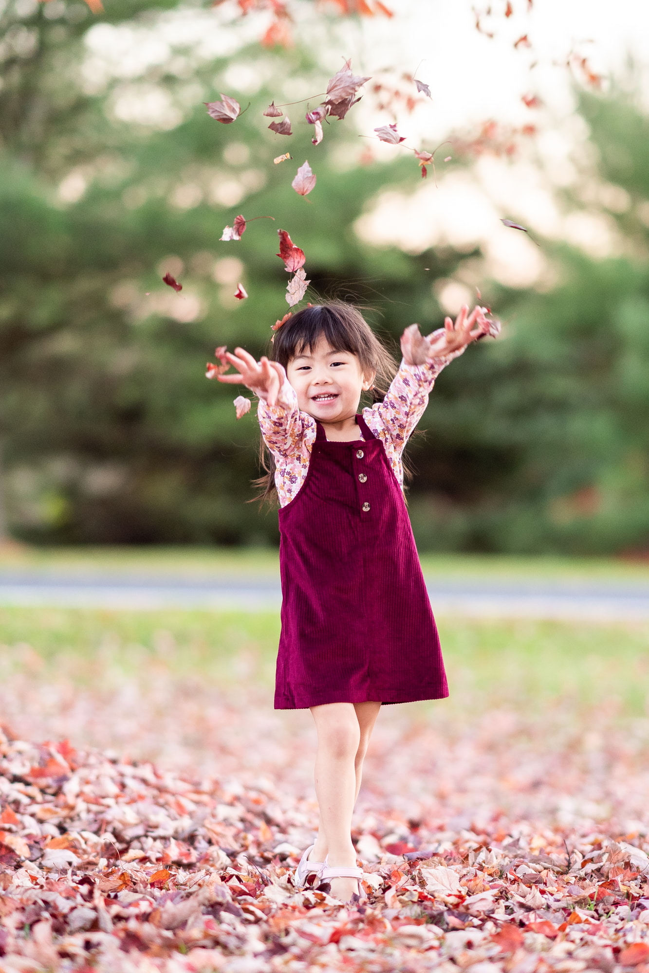 Fall Leaves Family Photos