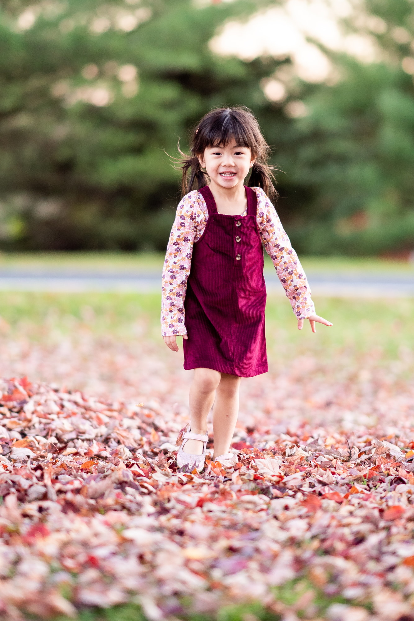 Fall Leaves Family Photos