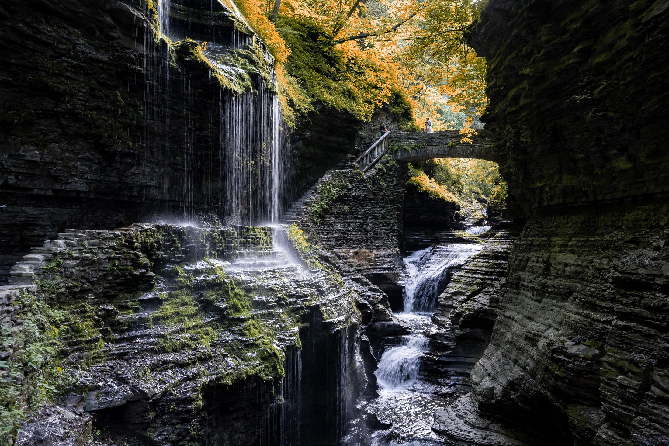 family waterfall photo