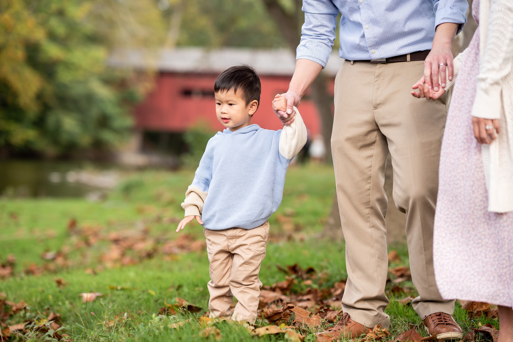 Fall foliage background